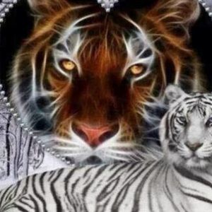 Meet your Posher, Michele